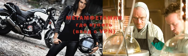 молекула духа Богданович