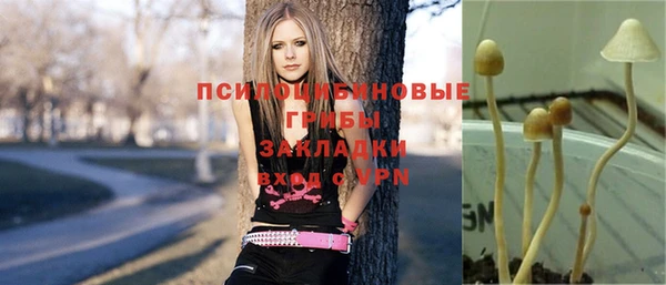 молекула духа Богданович