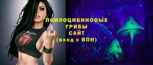 2c-b Богородицк