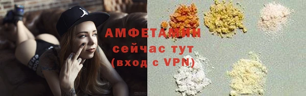 молекула духа Богданович