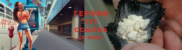 молекула духа Богданович