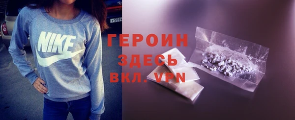 молекула духа Богданович