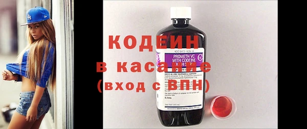 молекула духа Богданович