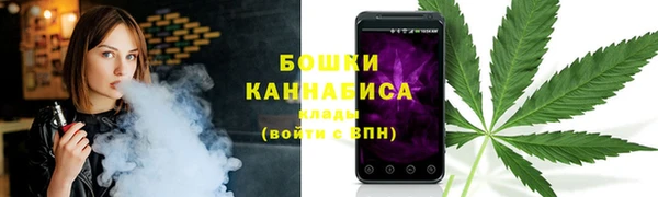молекула духа Богданович