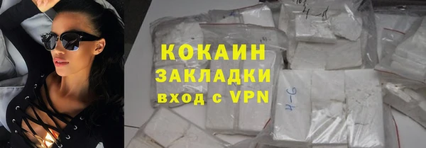 молекула духа Богданович