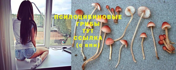 экстази Богородск