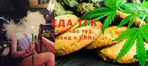 молекула духа Богданович
