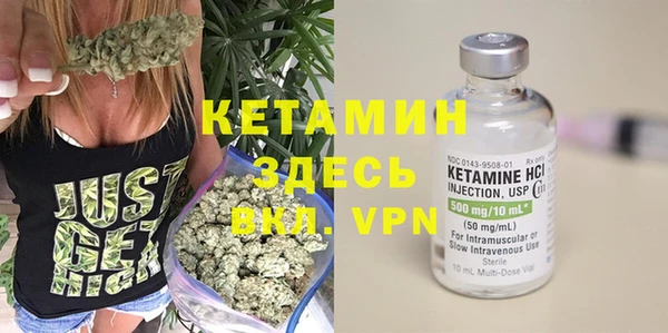 молекула духа Богданович